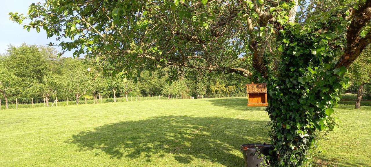 Gites Le Clos Du Verger Maurens  Экстерьер фото